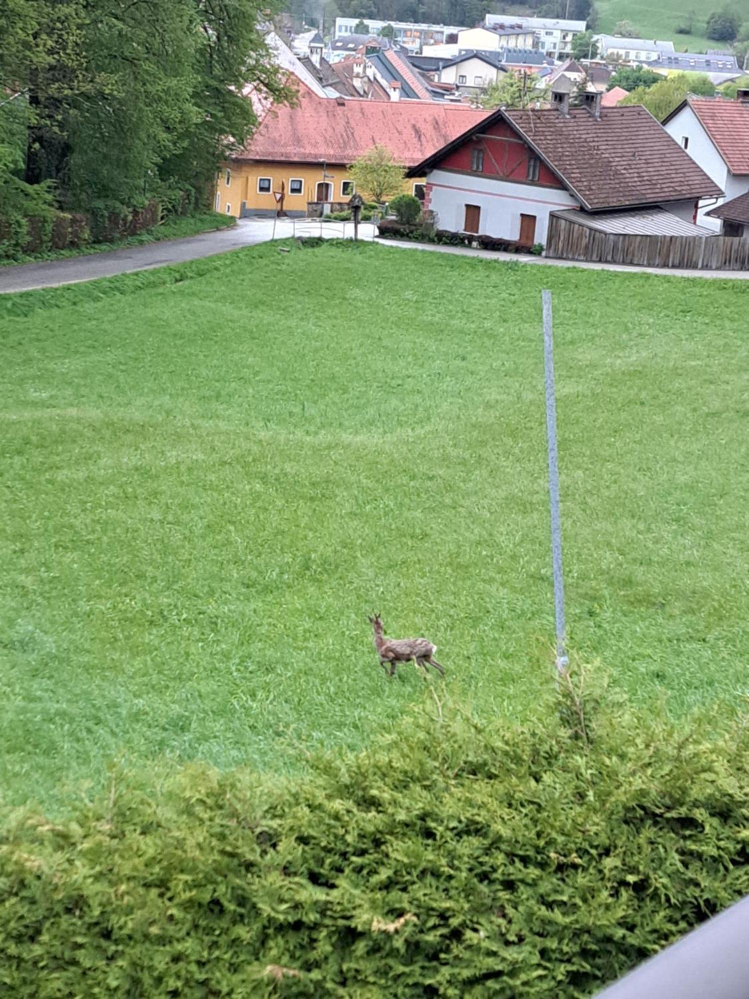 Ferienwohnung Haus Am Schloss Bleiburg Exterior foto